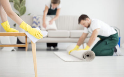 5 Reasons to Schedule Regular Professional Cleaning Services