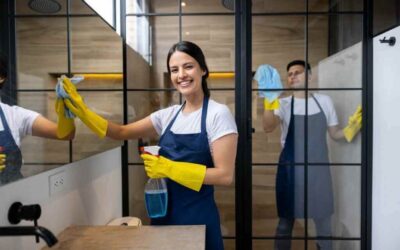 Understanding the Value of Expert Domestic Cleaning in Maryland