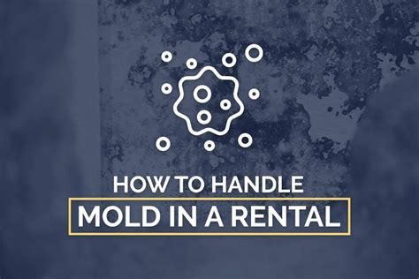 mold in rentals