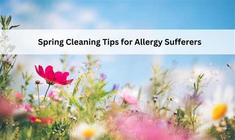 Spring Cleaning for Allergy Sufferers in Maryland