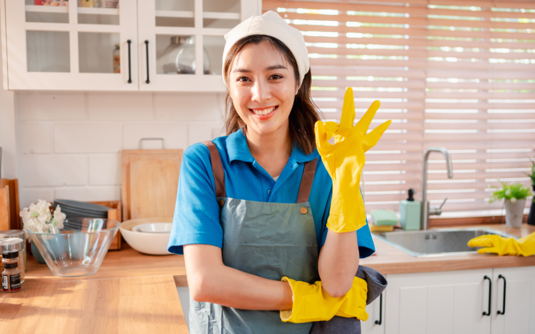 Why You Should Hire Professional House Cleaners In Maryland